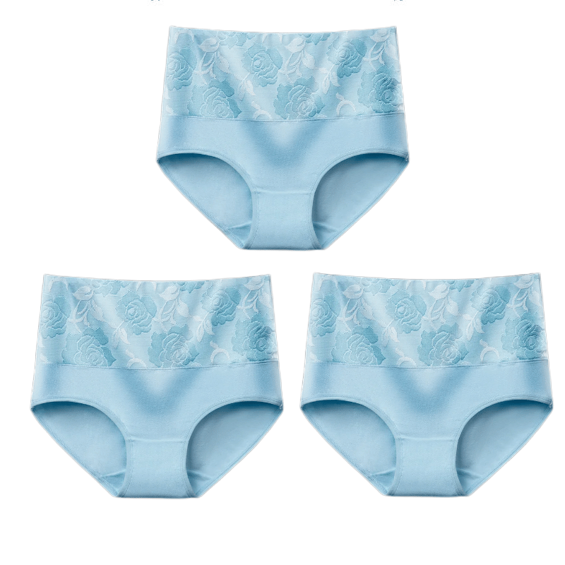 🔥Damen-Slip mit hoher Taille und Bauchkontrolle in Übergröße